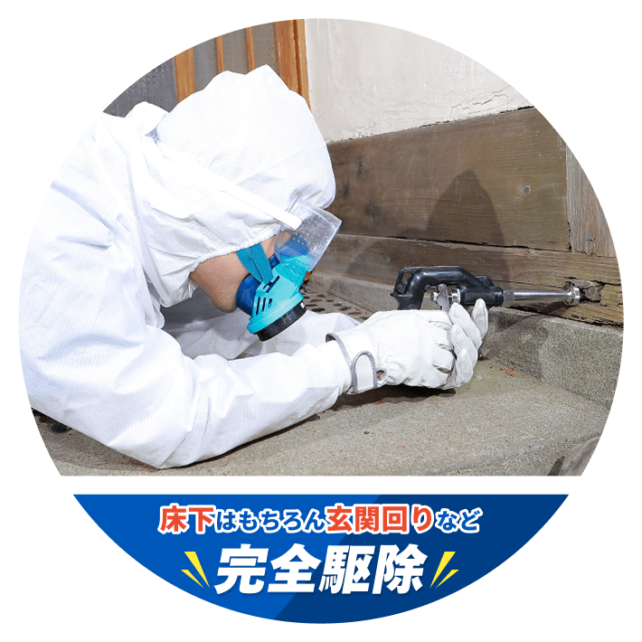 床下はもちろん玄関回りなど完全駆除